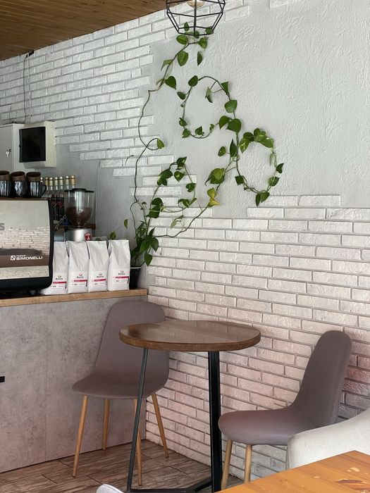 Продаётся действующая кофейня в центре Павлограда