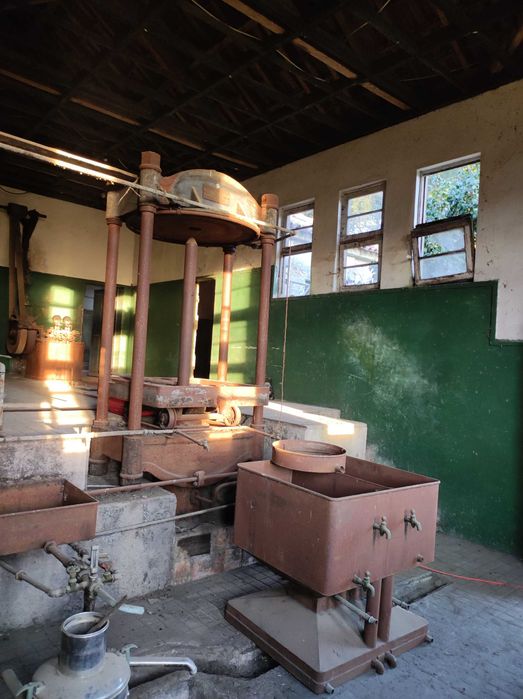 Maquinaria lagar de azeite antigo