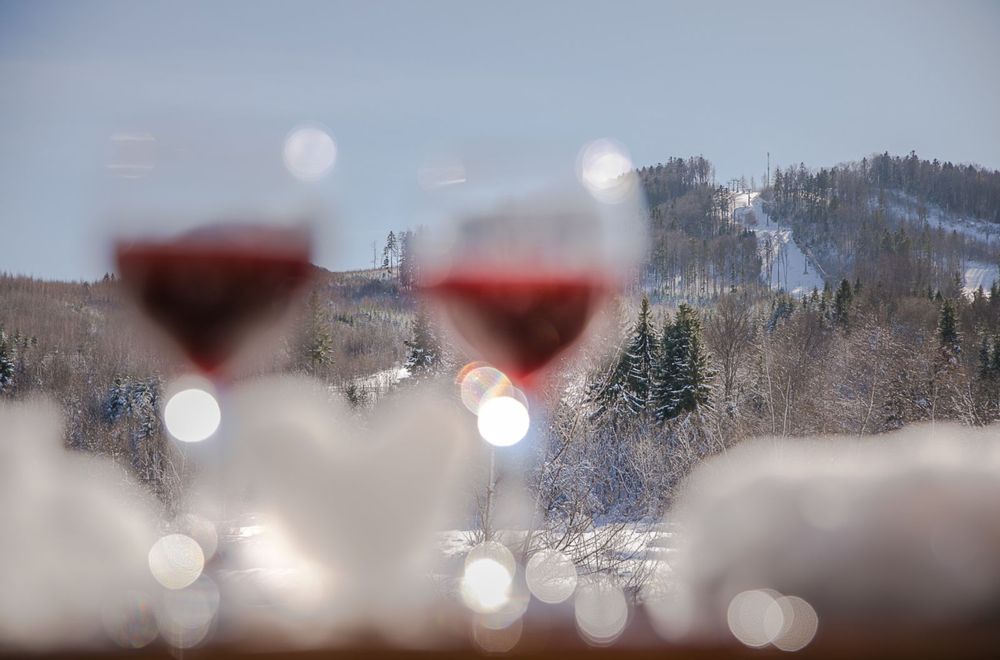 Відпочинок в Мигово.Чан/Сауна