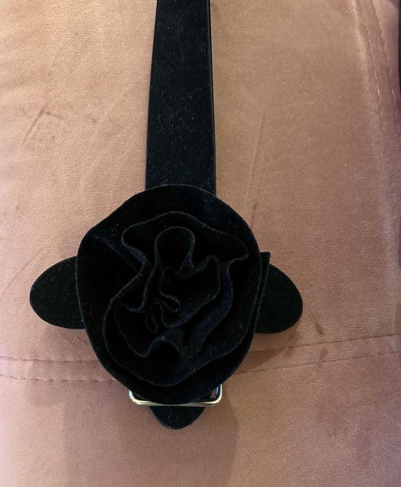 Pasek Paprocki&Brzozowski dls Reserved