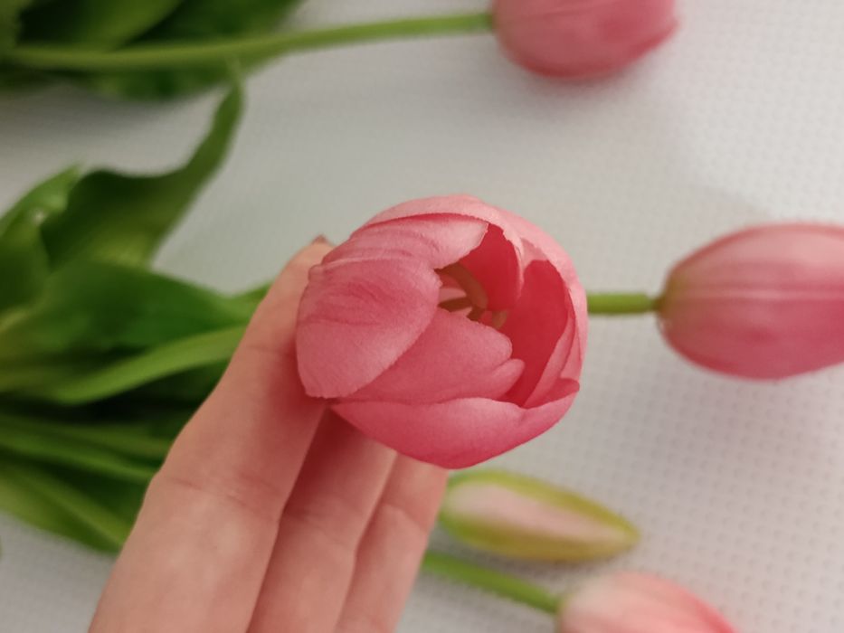 Гелеві рожеві тюльпани