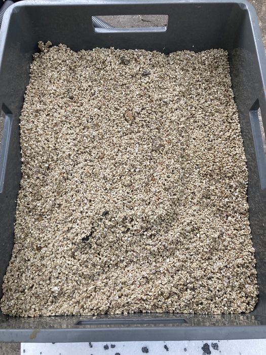 Żywy piasek do akwarium morskiego