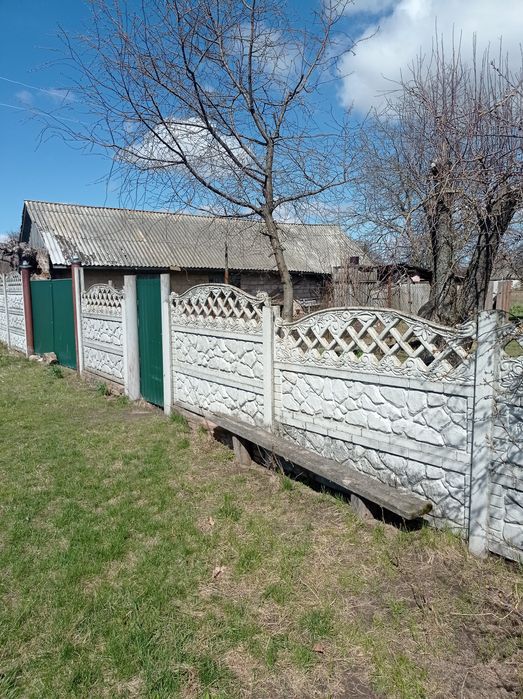 Садиба біля річки Десна. Село Ковчин.