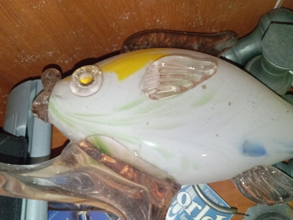 Peixe marinha grande