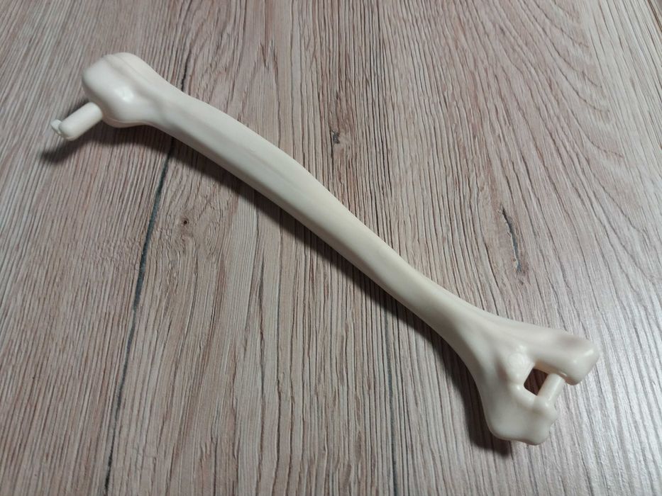 Tajemnice ludzkiego ciała - kolekcja DeAgostini IV