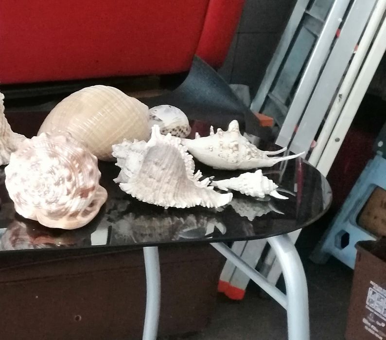 Mesas e vários artigos