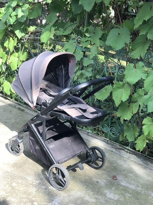 Коляска Carello Alfa, 2 в 1