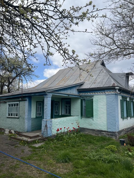 Будинок в селі Петрівці Полтавська обл.