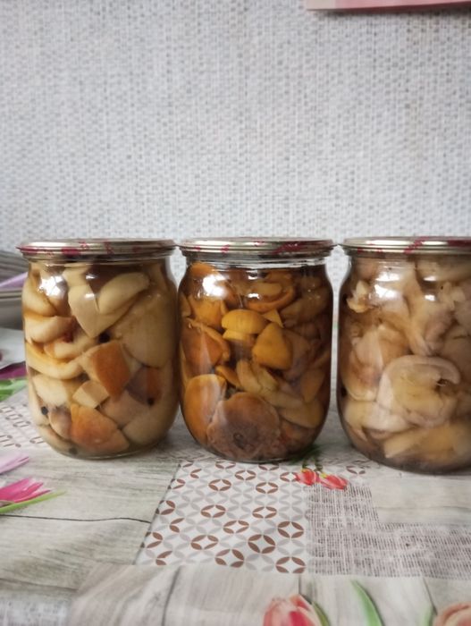 Продам гриби мариновані та сушені
