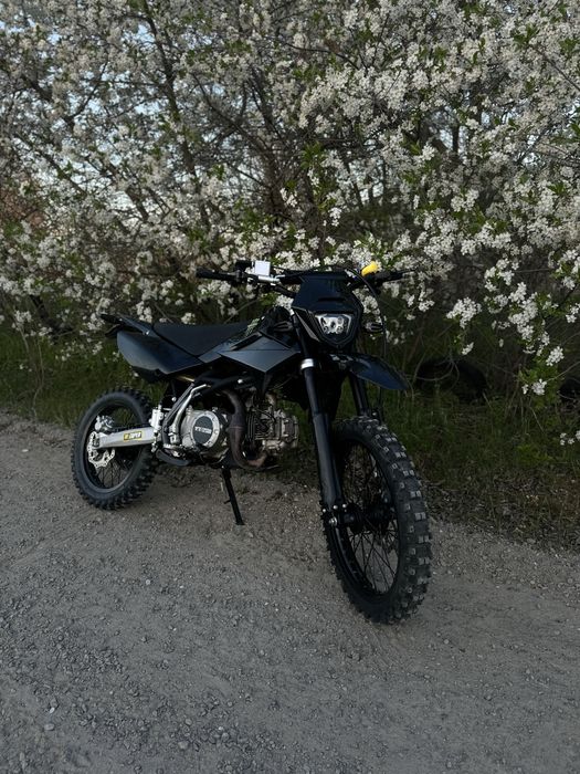 Кові піт 150, 2024