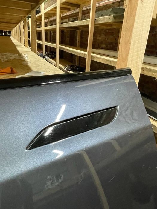 Двері tesla s