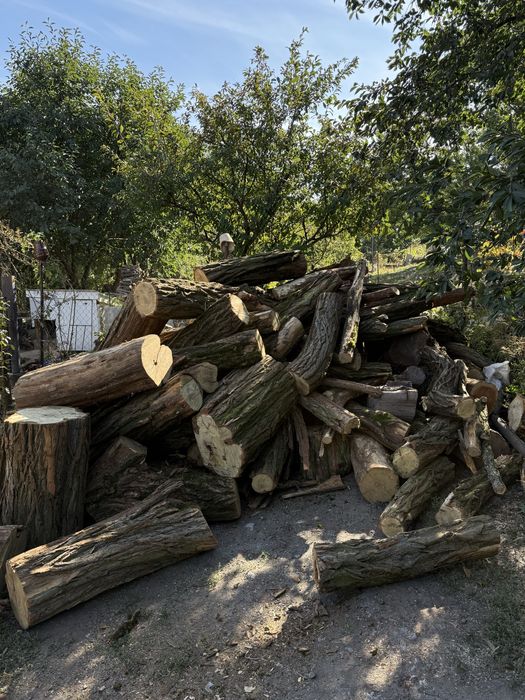 Дрова,акация,дуб,ясень,безПредоплат