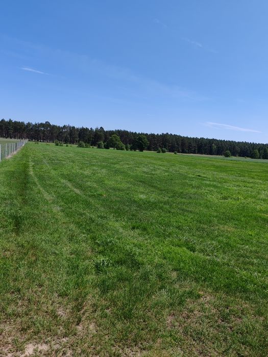 Sprzedam grunty rolne