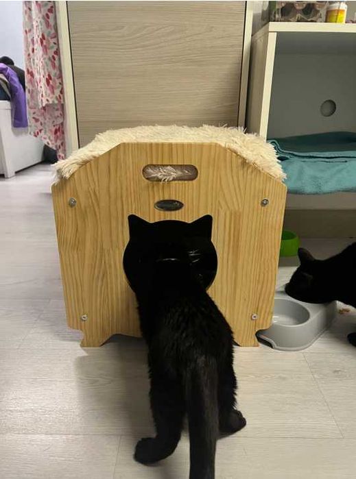 Casota gato portátil com almofada removível   40x39x40cm  ENVIO GRÁTIS