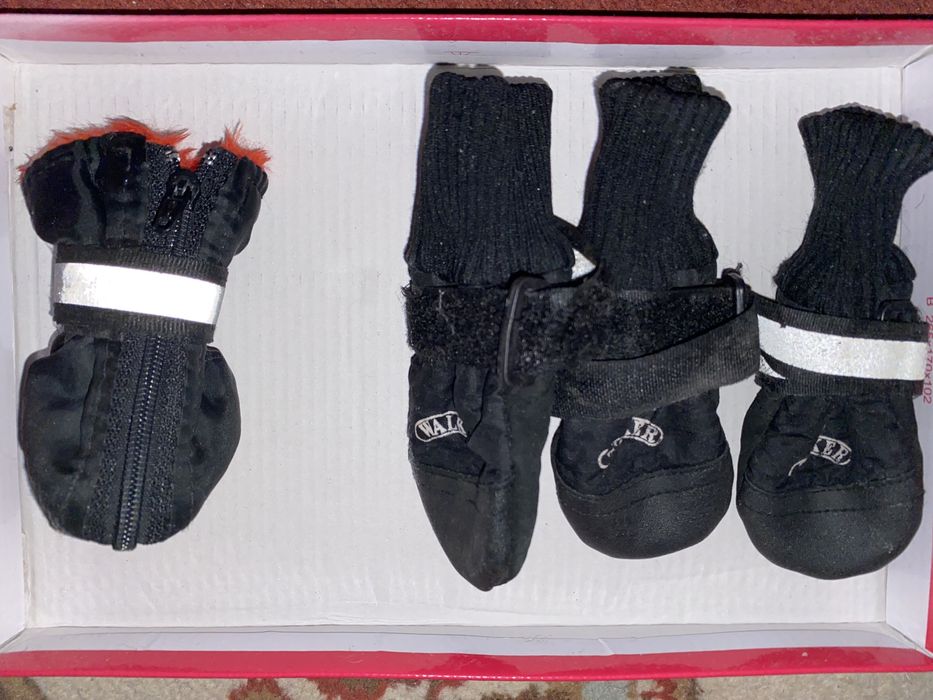 ботинки для собак б/у 3шт одна другого вида