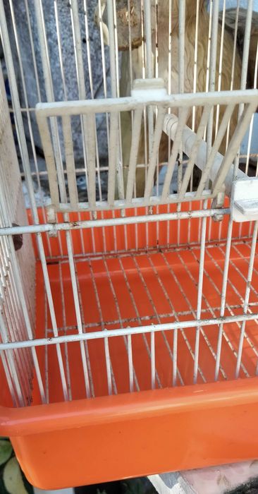 Gaiola com 55 cm altura para aves de porte médio