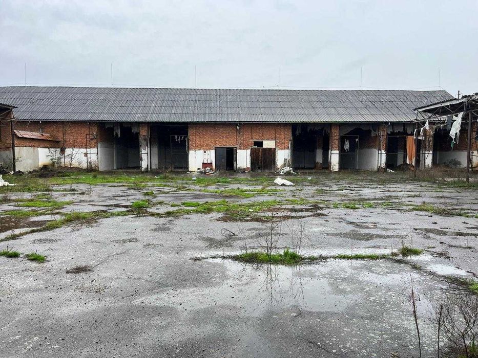 Склад 2500 м2 Закарпаття