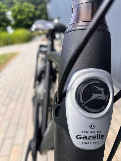 Rower Gazelle Chamonix C8