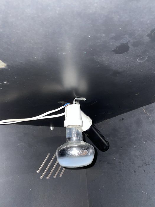 Terrários com luz UV e IV