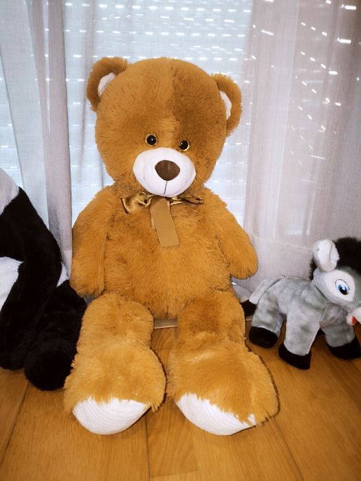 Animais de peluche precisam novo lar