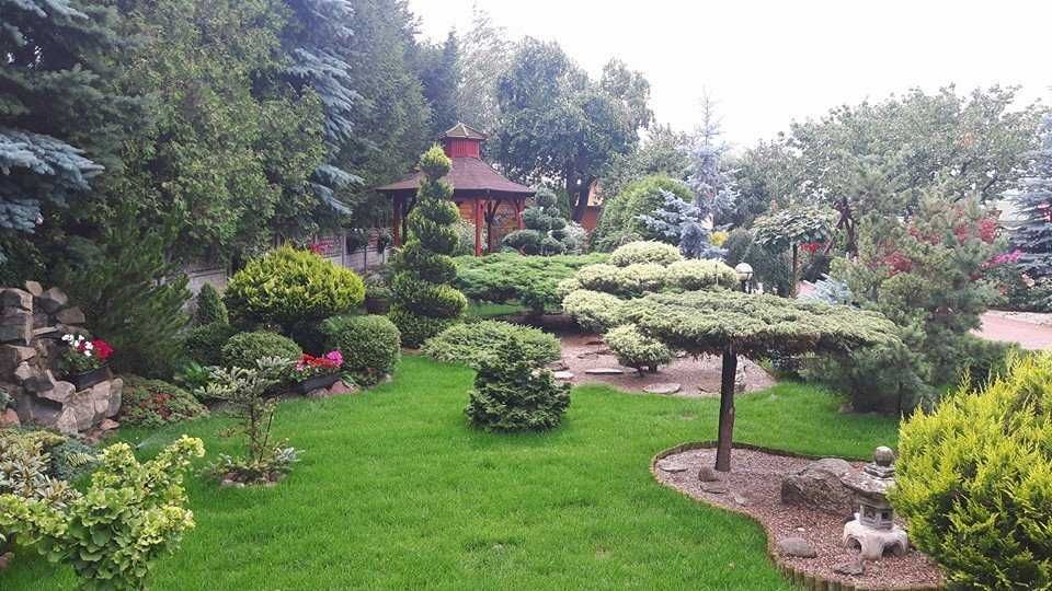 Projektowanie i zakładanie ogrodów !