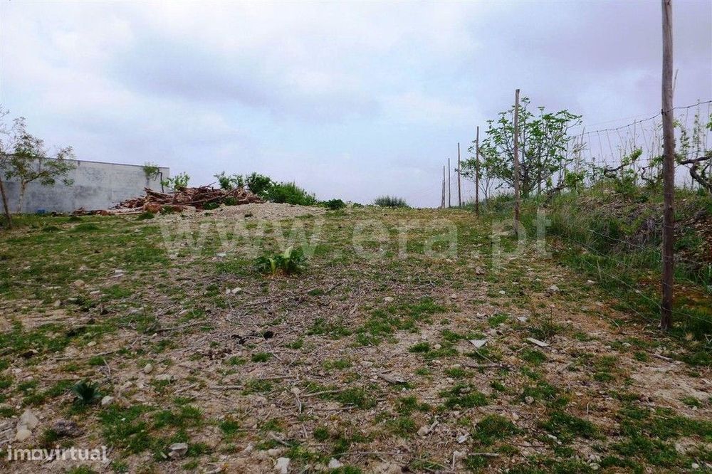 Terreno, Coimbra, Coimbra — Almalaguês, Coimbra