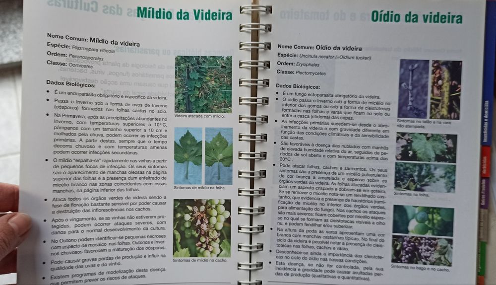 Manual de utilização de produtosBayer