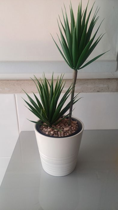 Vaso ikea + planta  (novo)