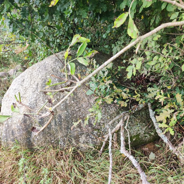 Diabelski Kamień sprzedam