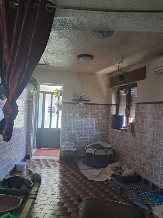 Moradia T3 à venda em Santa Comba Dão e Couto do Mosteiro, Santa Comba Dão — foto 5