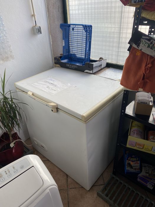 Arca congeladora princess