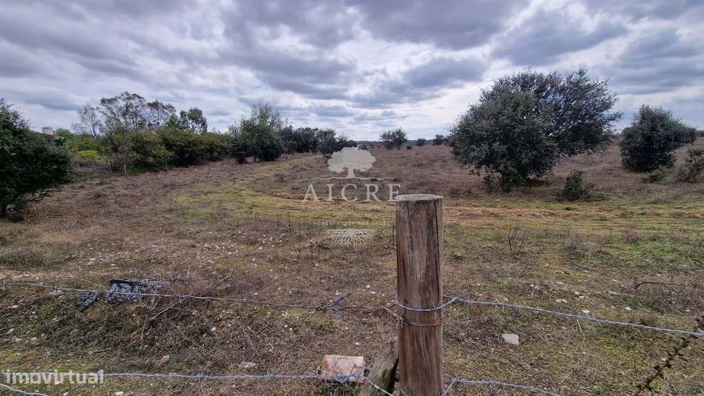 Terreno Não Construtivo