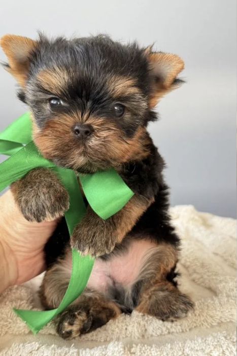 Всім привіт ми чекаємо на тебе мамо