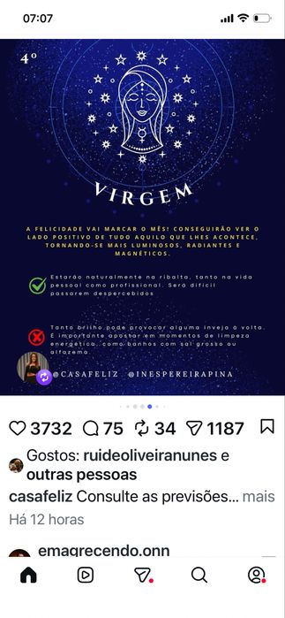 Aspirador de folhas