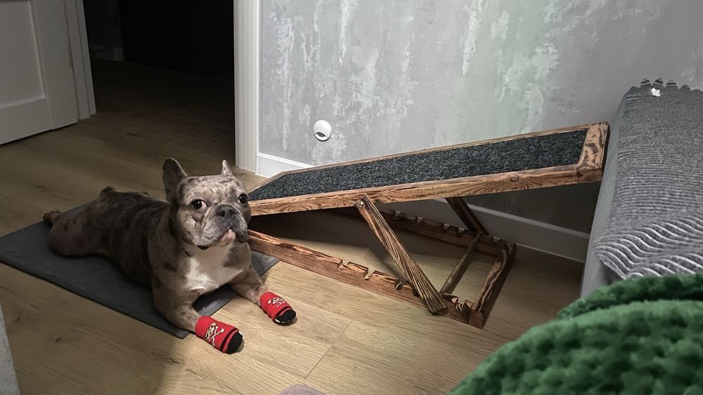 Пандус рампа для собак та котиків. Портативний трап приліжковий