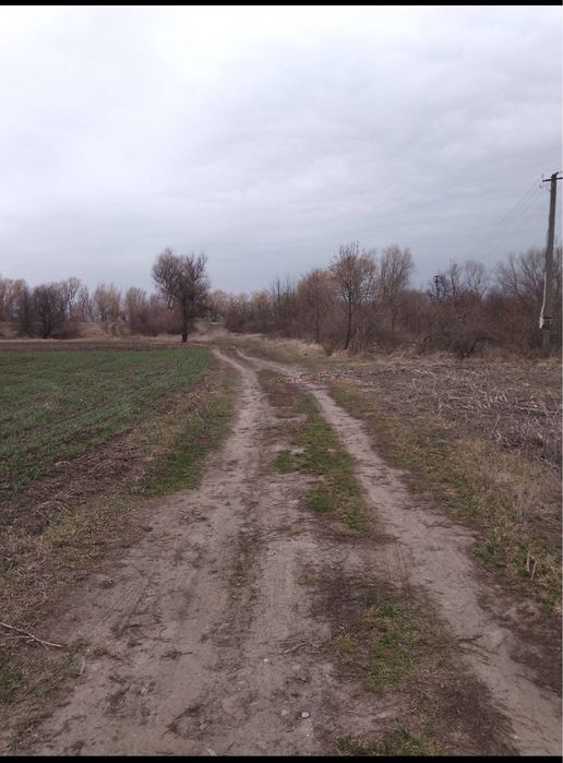 Земельна ділянка під забудову 0ʼ25га