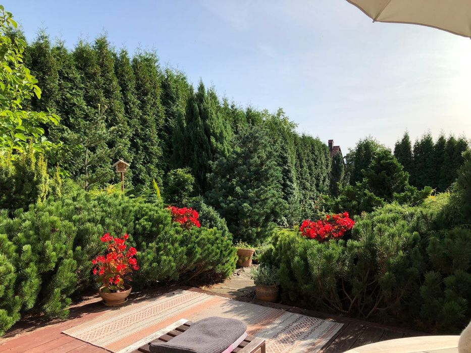 Dom z tarasem i ogrodem