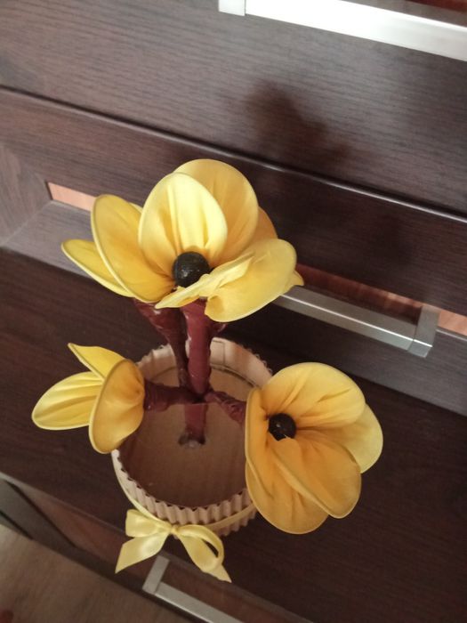 Żółty kwiat w doniczce