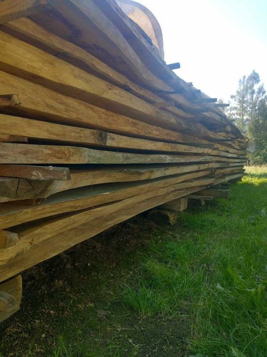 FOSZTY Dębowe + Jodła Zagórnik koło Andrychowa