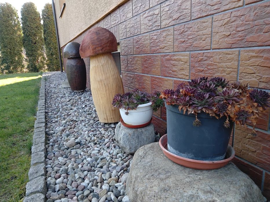 Dekoracje ogrodowe, grzyby z drewna do ogrodu lub na taras