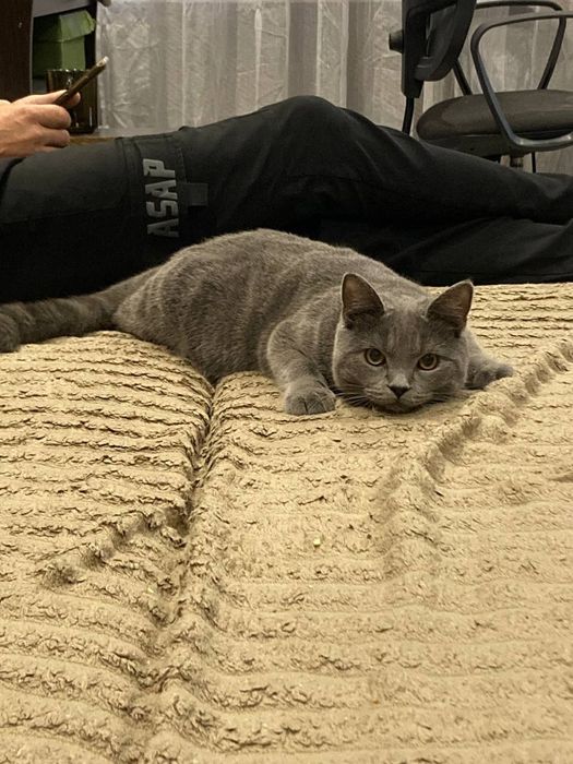 Тоша ищит девочку