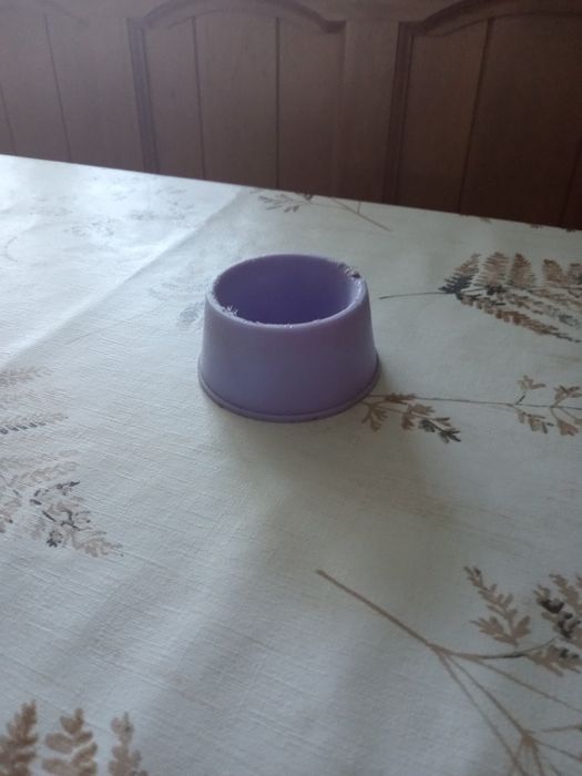Akwarium dla gryzoni