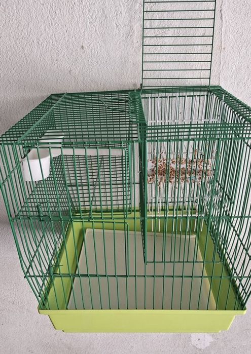 Gaiolas alçapões
