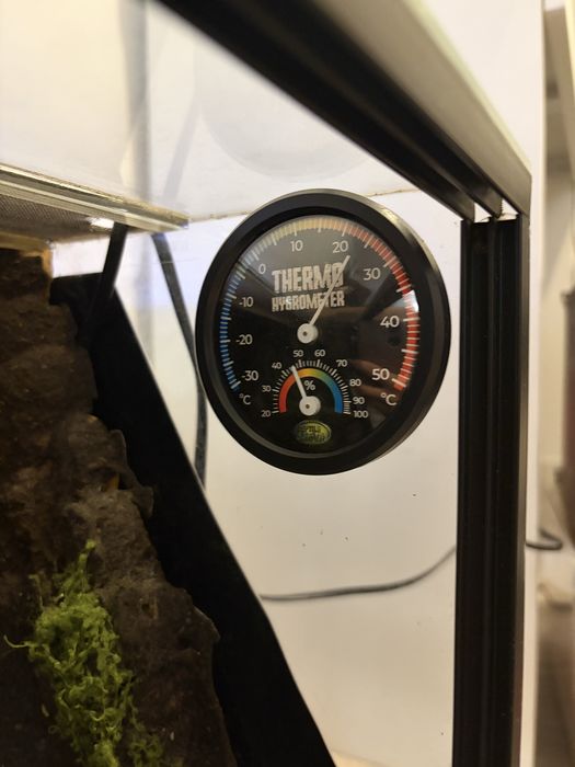 Terrarium z wodospadem