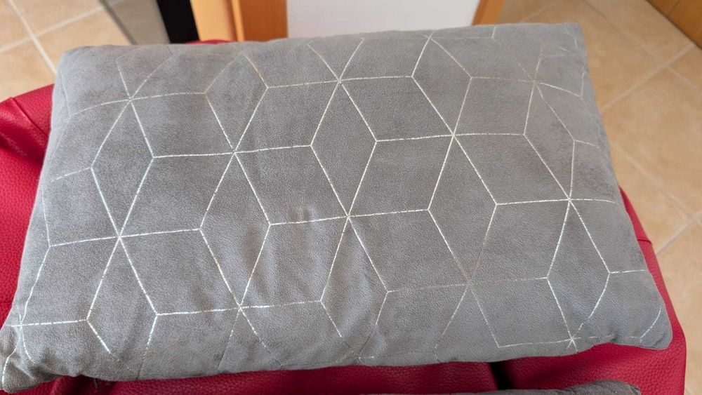 2x Almofadas decorativas