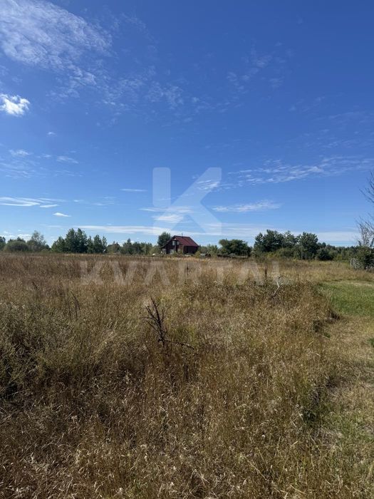 Земельна ділянка в с. Дружня, 15 соток. Вигідна пропозиція
