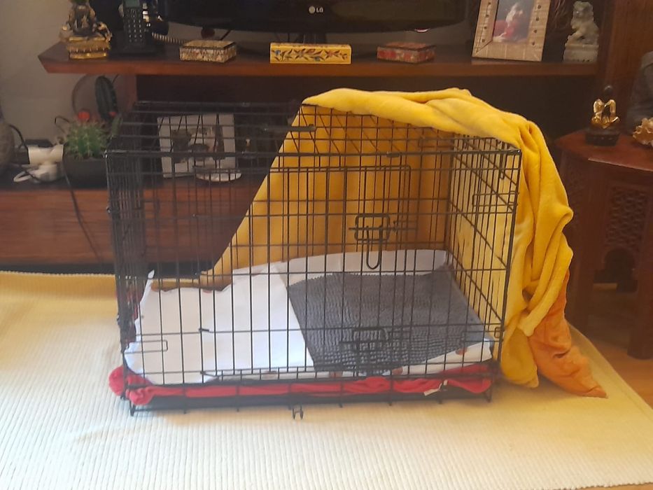 Jaula Metálica Nova