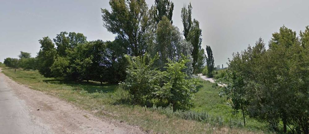 (8) Продам земельну ділянку в с. Джурин 9890