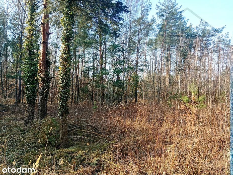Piękna działka w Serocku