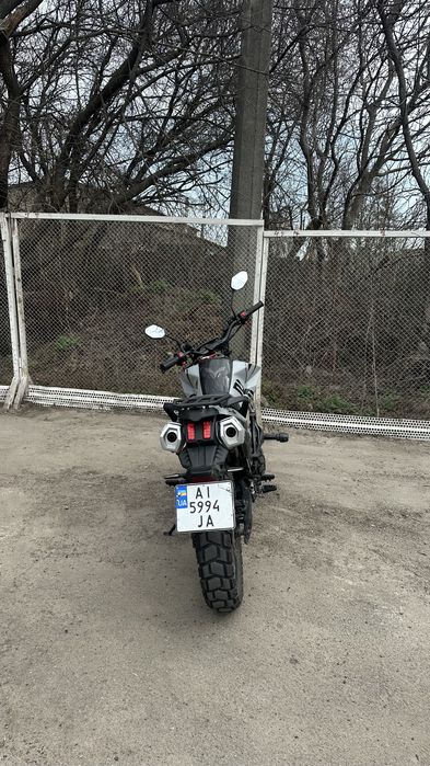 Tekken 250 (2024) без торгу